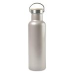 Aviana Metallics Double Wall Stainless Steel Wine Bottle - 25 Oz. - Champagne - 1