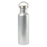 Aviana Metallics Double Wall Stainless Steel Wine Bottle - 25 Oz. - Metallic Silver - 1
